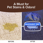 Split image: a yellow pet stain on carpet labeled Before, and the same area clean under a blacklight labeled After. Text: A Must for Pet Stains & Odors! Try Bull Shot Carpet, our pet-safe, powerful foam cleaner—BLACKLIGHT TEST.