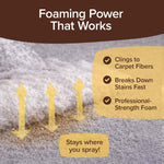 Bull Shot Pet Stains