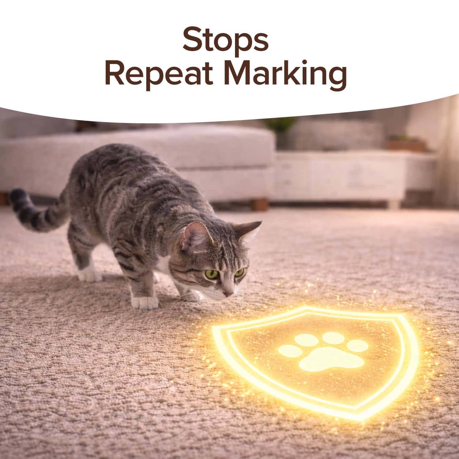 Bull Shot Pet Stains